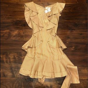 Zimmermann Winsome Flounce Dress